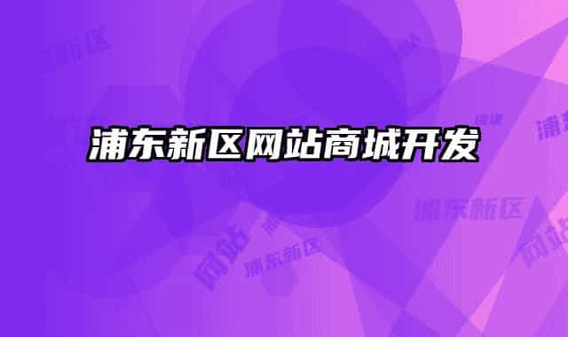 浦東新區(qū)網(wǎng)站商城開(kāi)發(fā)