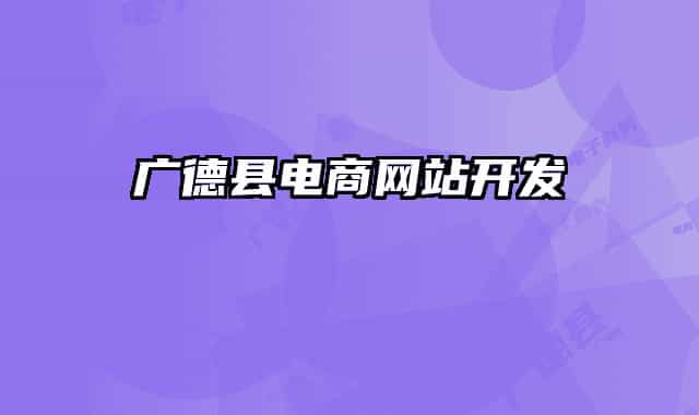 廣德縣電商網站開發(fā)