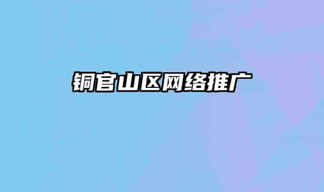 銅官山區(qū)網(wǎng)絡推廣