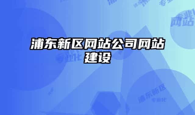 浦東新區(qū)網站公司網站建設