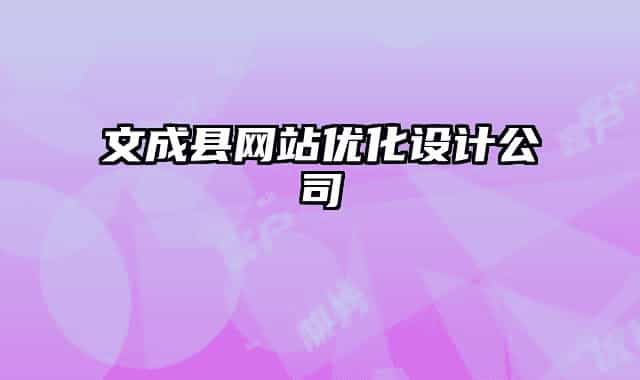 文成縣網(wǎng)站優(yōu)化設計公司