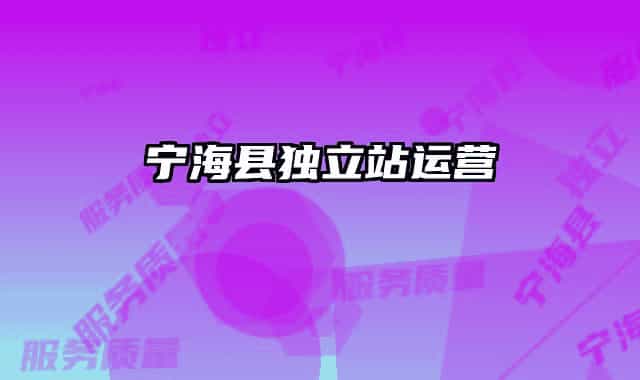 寧海縣獨立站運營