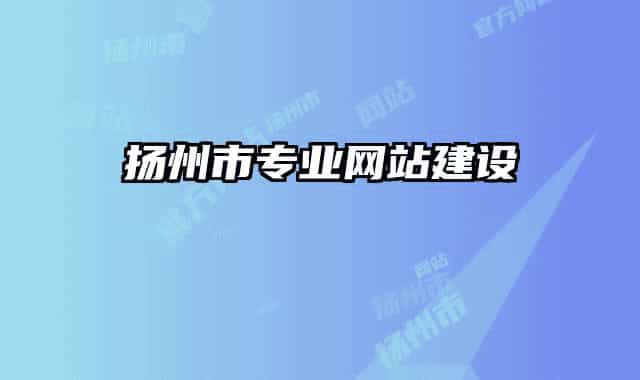 揚州市專業(yè)網(wǎng)站建設(shè)