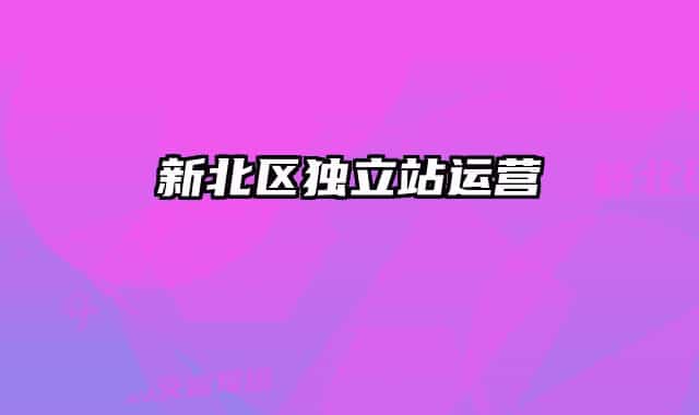 新北區(qū)獨立站運營