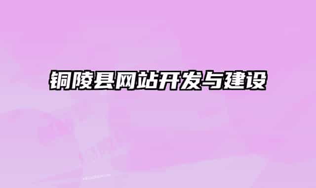 銅陵縣網(wǎng)站開發(fā)與建設(shè)