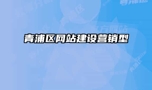 青浦區(qū)網(wǎng)站建設(shè)營銷型