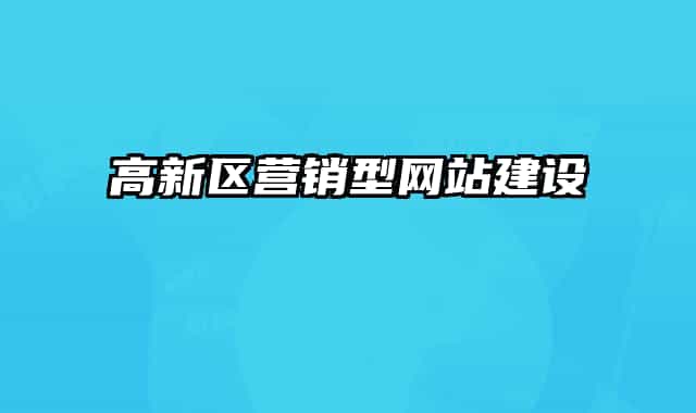 高新區(qū)營銷型網(wǎng)站建設(shè)