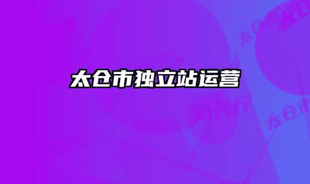 太倉市獨立站運營