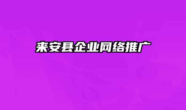來(lái)安縣企業(yè)網(wǎng)絡(luò)推廣