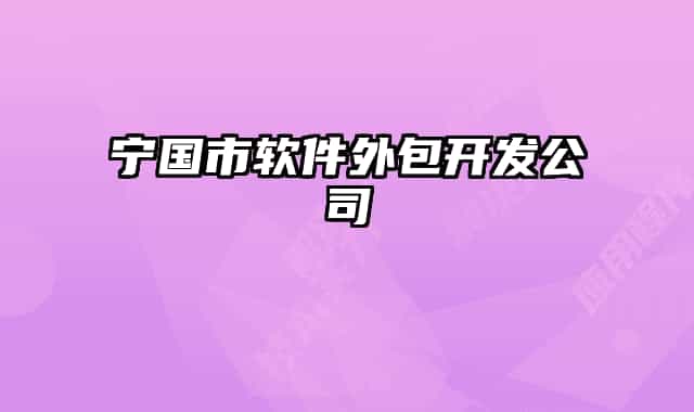 寧國市軟件外包開發(fā)公司