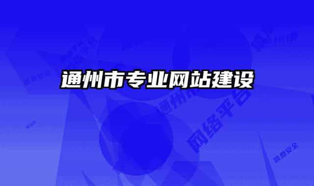 通州市專業(yè)網(wǎng)站建設(shè)