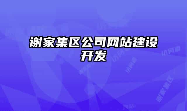 謝家集區(qū)公司網(wǎng)站建設(shè)開發(fā)