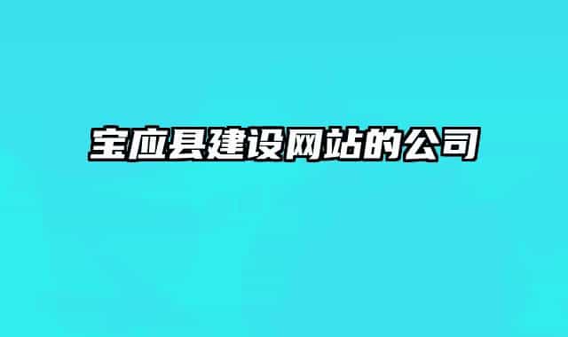 寶應(yīng)縣建設(shè)網(wǎng)站的公司