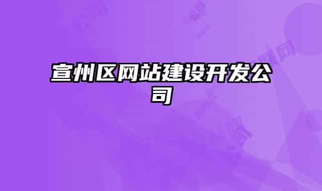 宣州區(qū)網站建設開發(fā)公司