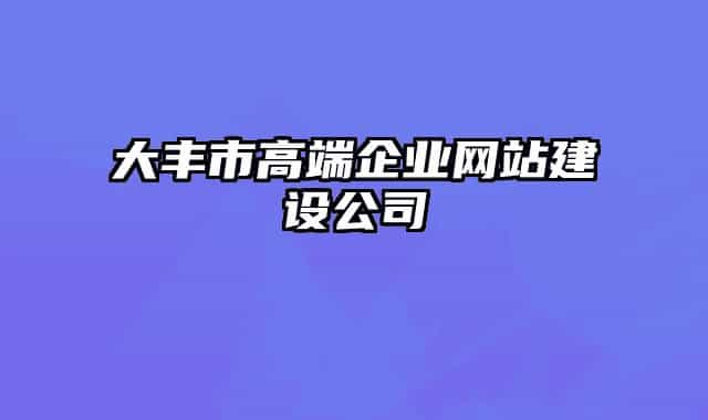 大豐市高端企業(yè)網(wǎng)站建設(shè)公司