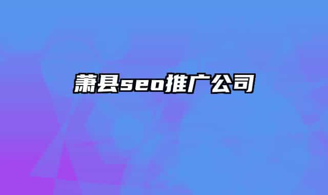 蕭縣seo推廣公司
