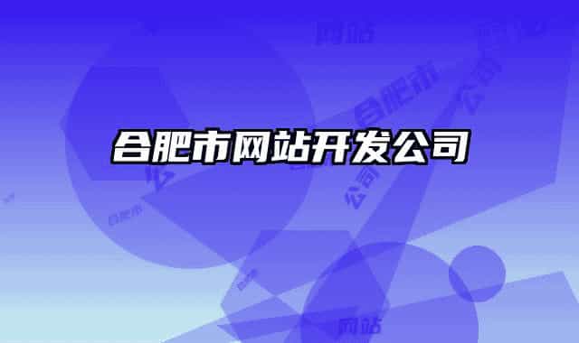 合肥市網(wǎng)站開發(fā)公司
