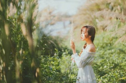 蝦肉小丸子擺攤賺錢(qián)嗎是真的嗎