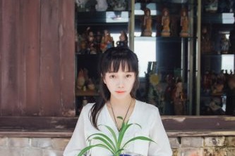 網(wǎng)站一鍵生成
